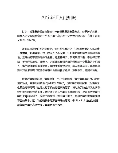 打字新手入门知识