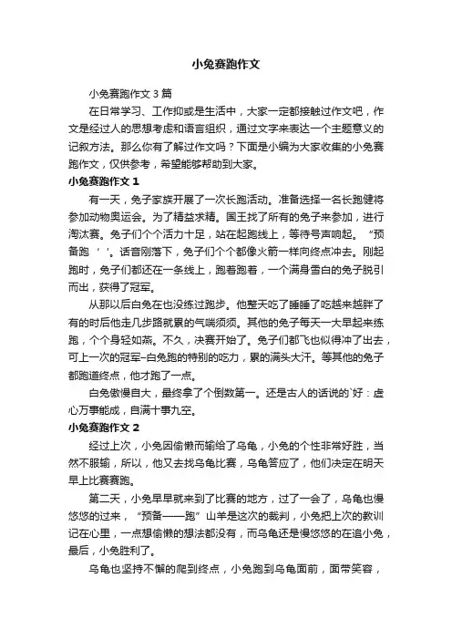小兔赛跑作文3篇