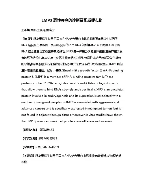 IMP3恶性肿瘤的诊断及预后标志物