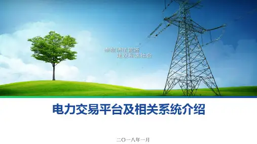 电力交易平台及相关系统介绍 ppt课件