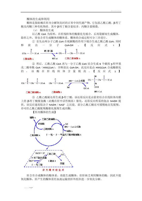 酮体的生成和利用