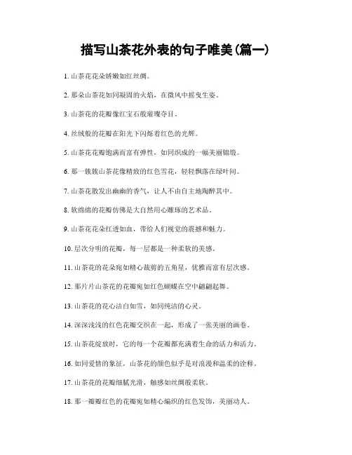 描写山茶花外表的句子唯美(精选合集2篇)