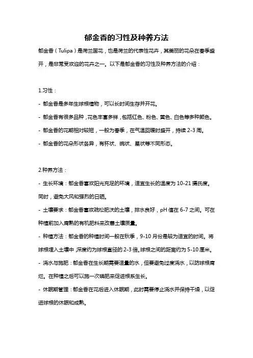 郁金香的习性及种养方法