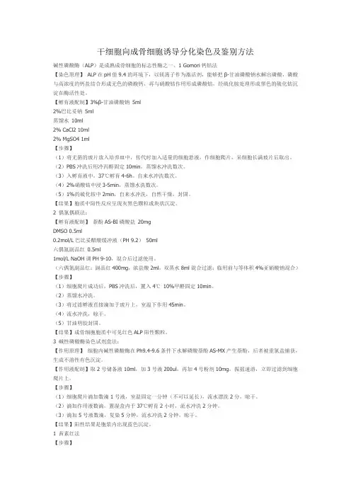 干细胞向成骨细胞诱导分化染色及鉴别方法