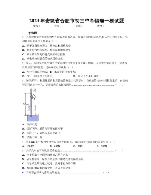 最新2023年安徽省合肥市初三中考物理一模试题及解析