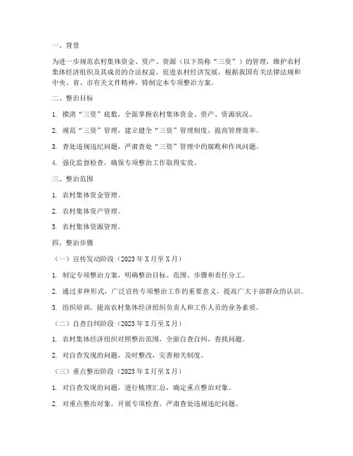 三资领域专项整治方案
