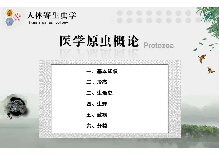 002医学原虫概论