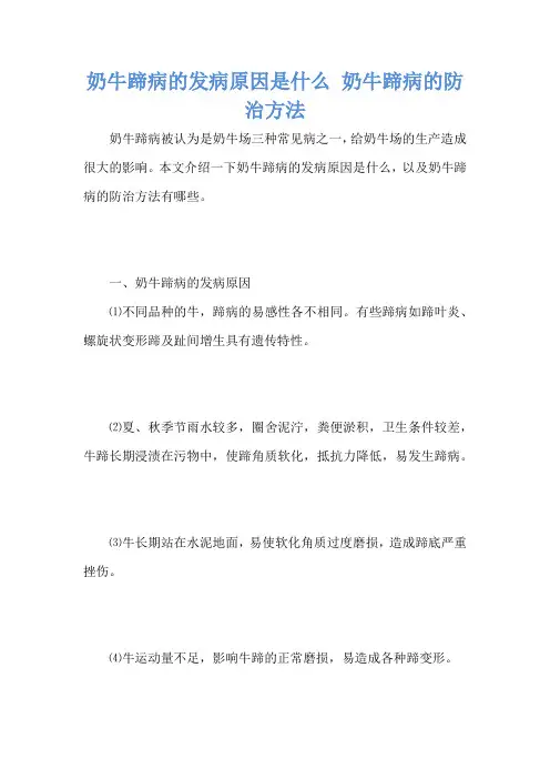 奶牛蹄病的发病原因是什么 奶牛蹄病的防治方法