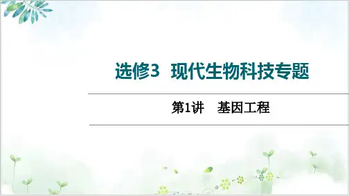高三一轮复习老高考人教版生物选修基因工程课件PPT