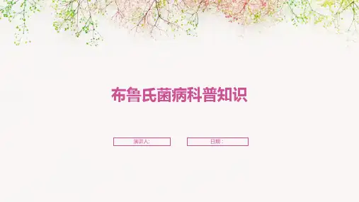 布鲁氏菌病科普知识