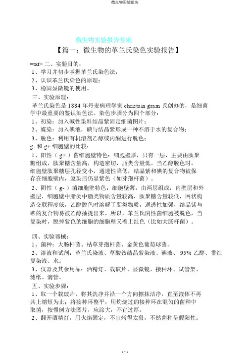 微生物实验报告
