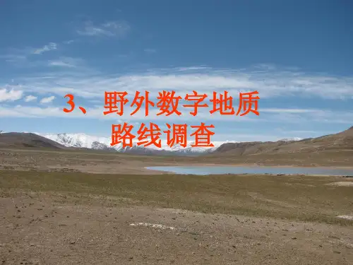 数字填图DGSS教程03-野外数字地质路线调查。