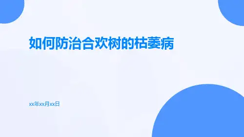 如何防治合欢树的枯萎病