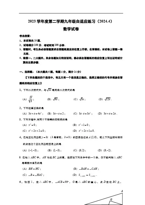 2024年上海市普陀区中考二模数学试卷