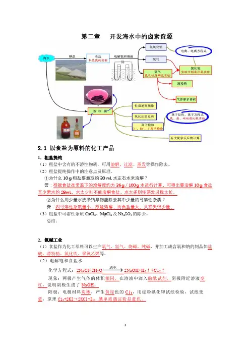第二章   开发海水中的卤素资源