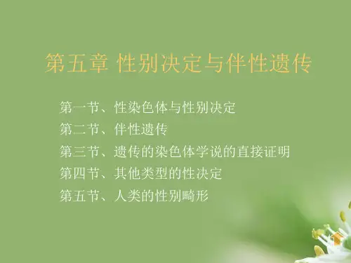 性别决定和伴性遗传ppt14 北师大版精选教学PPT课件