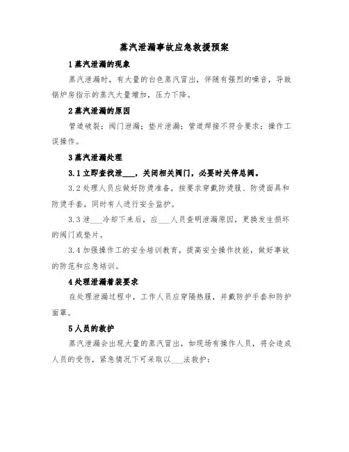 蒸汽泄漏事故应急救援预案(3篇)