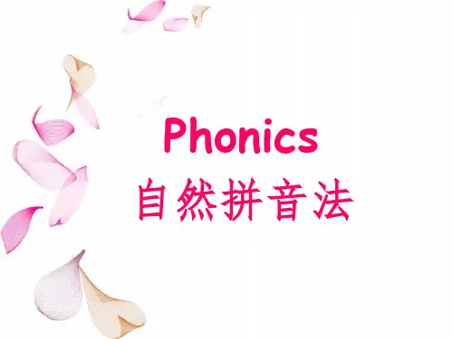 自然拼读字母 I-Q知识讲解