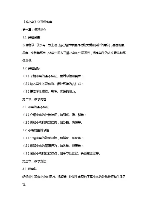 《放小鸟》公开课教案