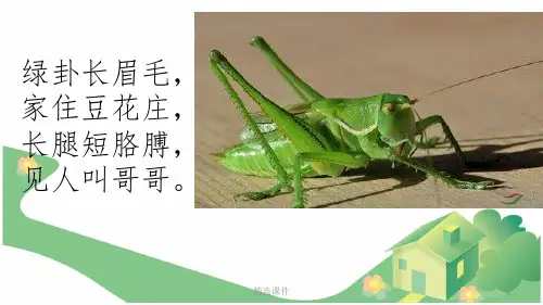 鄂教版四年级下册语文20、豆花庄的小家伙们