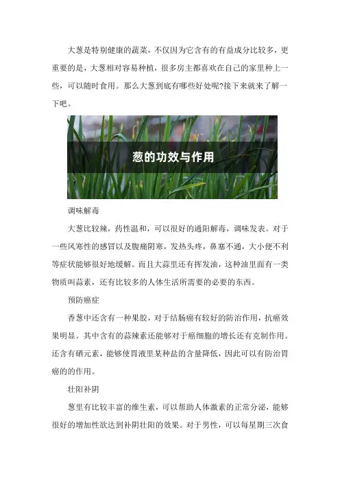 葱的功效与作用