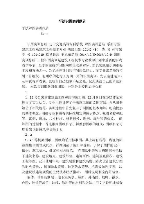 平法识图实训报告