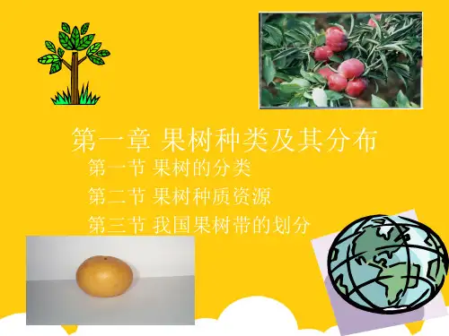果树种类及其分布ppt实用资料