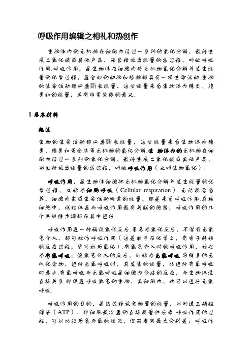 呼吸作用的全部过程