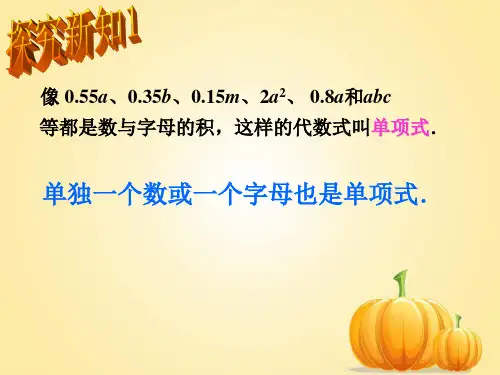 单项式与多项式_代数式