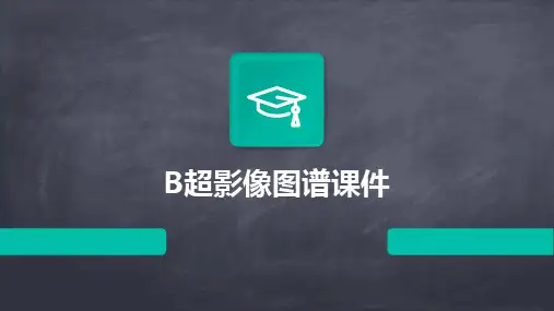 2024版B超影像图谱课件