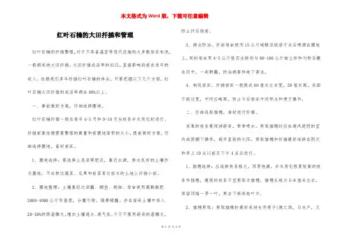 红叶石楠的大田扦插和管理