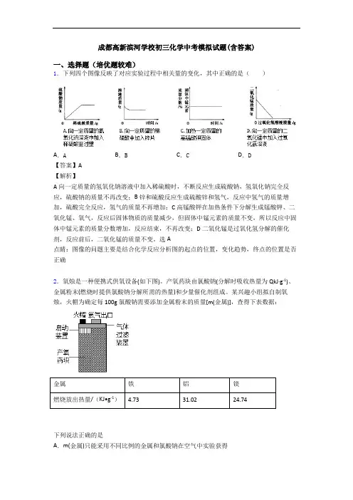 成都高新滨河学校初三化学中考模拟试题(含答案)