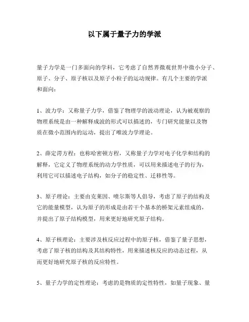 以下属于量子力的学派