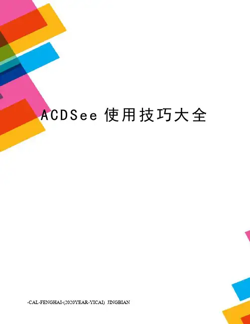 ACDSee使用技巧大全