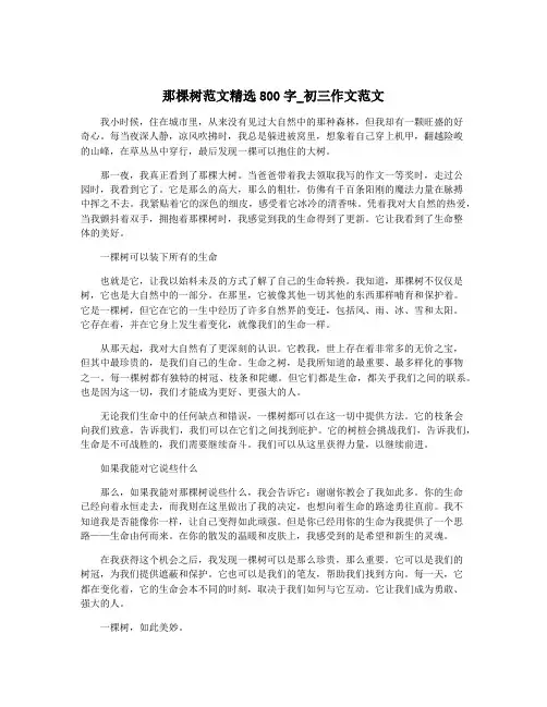 那棵树范文精选800字_初三作文范文