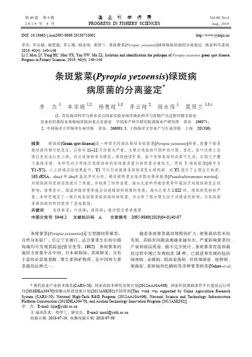 条斑紫菜(Pyropia yezoensis)绿斑病病原菌的分离鉴定