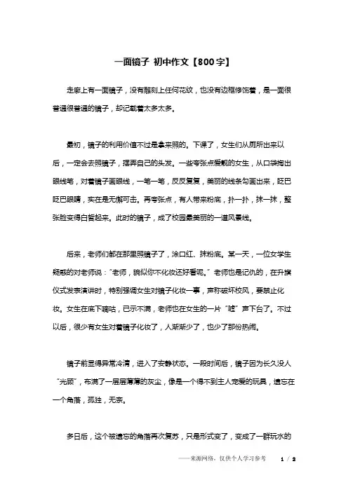一面镜子 初中作文【800字】