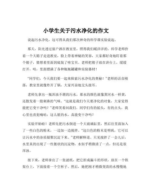小学生关于污水净化的作文