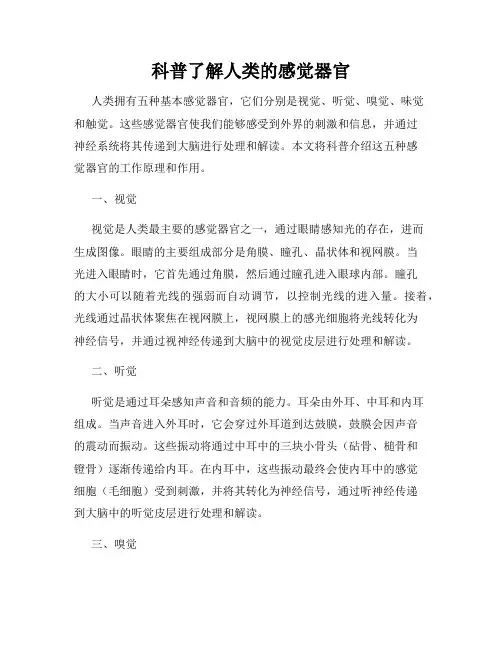 科普了解人类的感觉器官