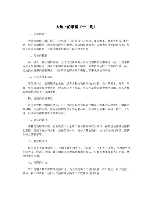 大地上的事情(十二则)