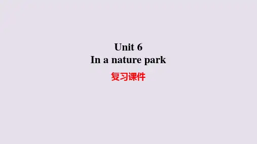 人教PEP版小学五年级上册英语Unit 6 In a nature park 复习课件