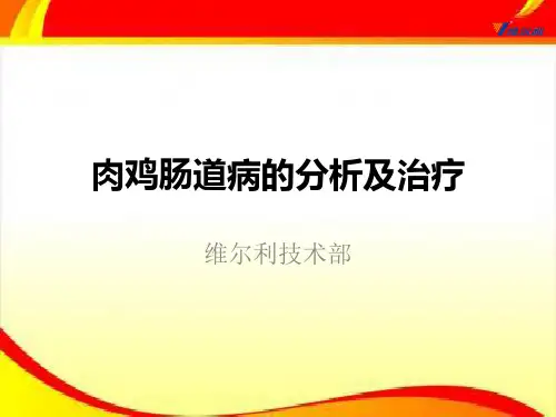 肉鸡肠道病的分析及治疗