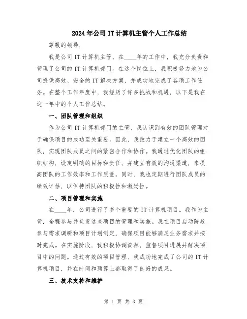 2024年公司IT计算机主管个人工作总结