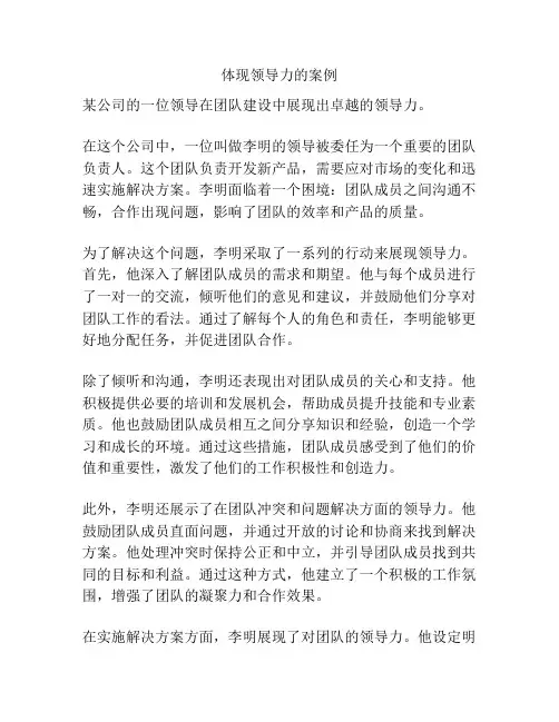 体现领导力的案例