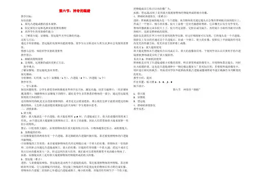 八年级物理全册4.6神奇的眼睛教案(新版)沪科版