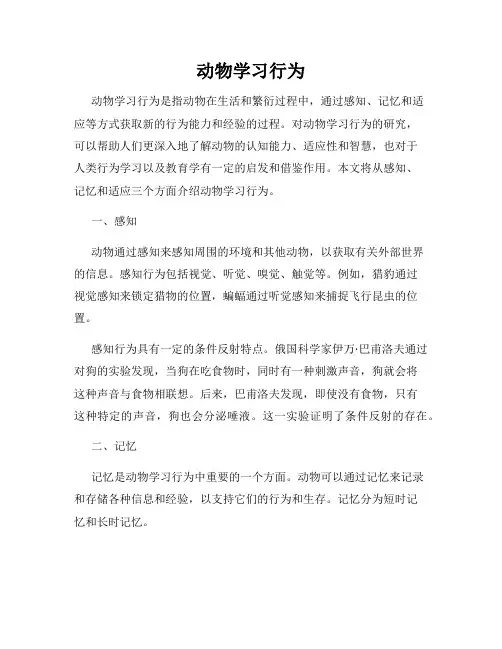 动物学习行为