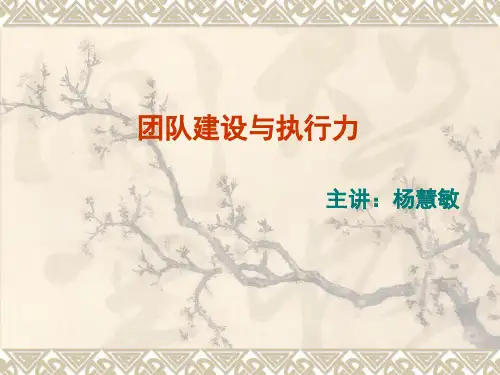 团队建设与执行力培训讲义(PPT课件)