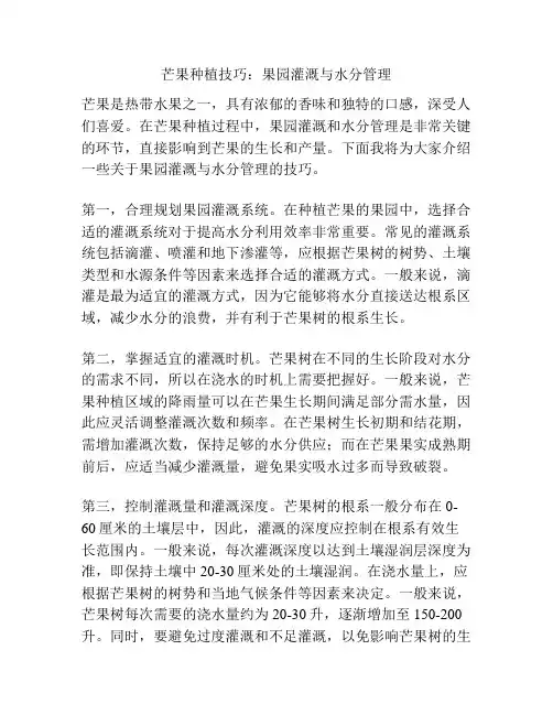 芒果种植技巧：果园灌溉与水分管理