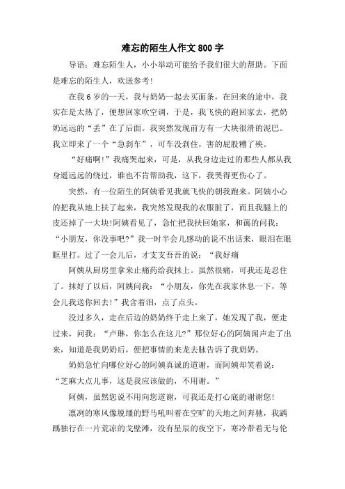 难忘的陌生人作文800字