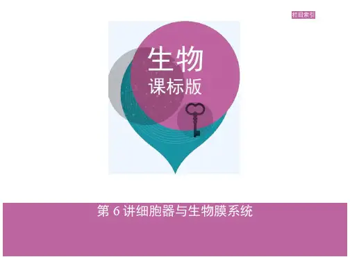 2019高考生物(新课标)一轮复习讲解课件：第6讲细胞器与生物膜系统